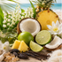 Coastal Coconut Lime Fragrance Oil