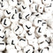 Master Maker Crafts white round L letter beads bulk wholesale craft supplies Ohio DIY Craft Warehouse