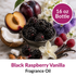 Image of Black Raspberry Vanilla Fragrance Oil (16 oz) sold at Master Maker Crafts. Wholesale prices and fast shipping.