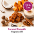 Caramel Pumpkin Fragrance Oil (25 lbs)