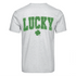 Image of St. Patrick's Day DTF Transfers sold at Master Maker Crafts. Wholesale prices and fast shipping.