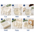 True Soap Melt & Pour Soap Base - Transparent (5 lb Tub)