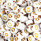 White beads with gold O design, Master Maker Crafts, wholesale craft supplies, Ohio shipping DIY Craft Warehouse