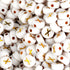 White round beads with gold X design, Master Maker Crafts wholesale craft supplies Ohio DIY Craft Warehouse