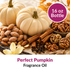 Perfect Pumpkin Fragrance Oil (16 oz)