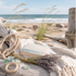Ship Happens Fragrance Oil