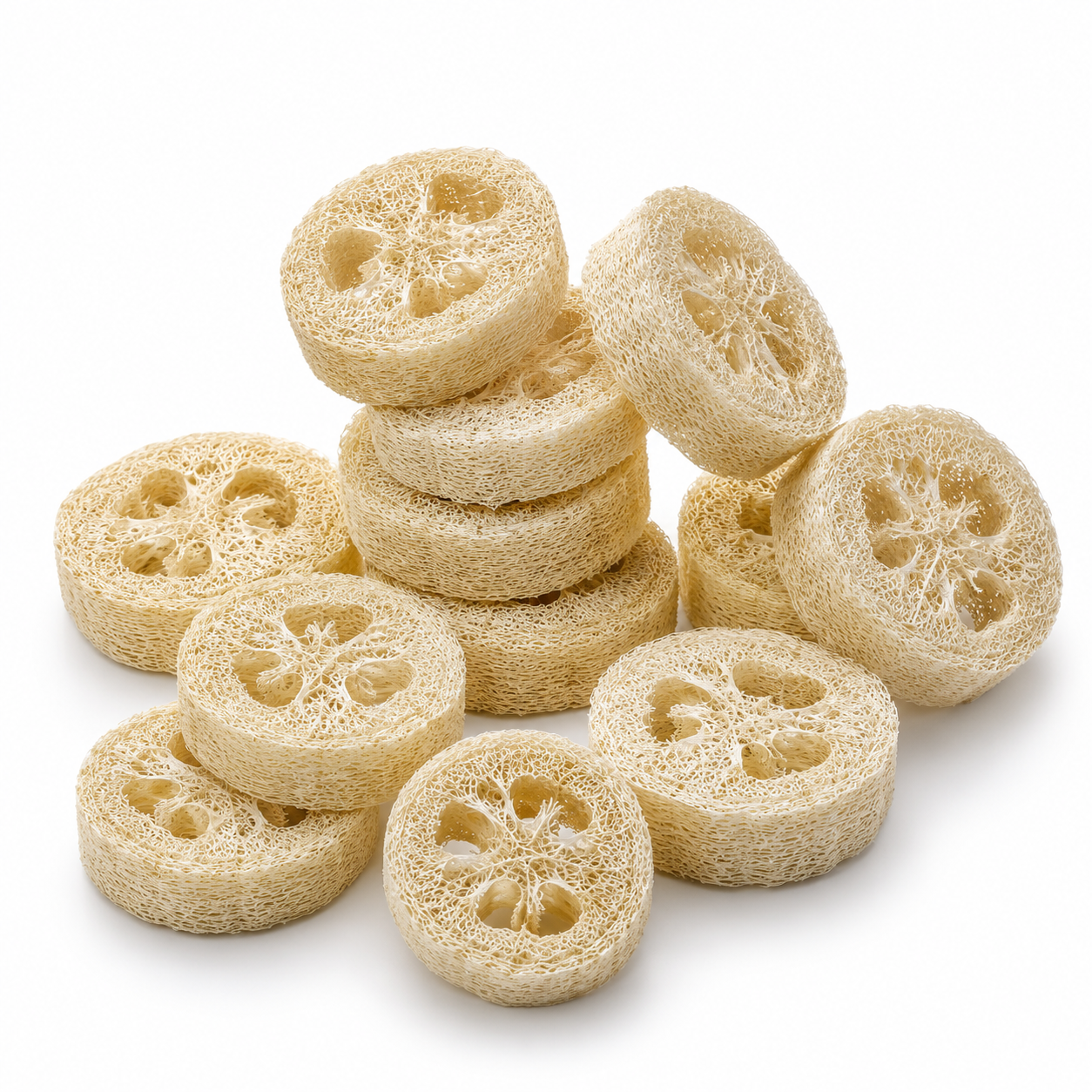 Loofah Slice – 1