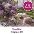 Image of True Lilac Fragrance Oil (4 oz) sold at Master Maker Crafts. Wholesale prices and fast shipping.