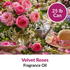 Image of Velvet Roses Fragrance Oil (25 lbs) sold at Master Maker Crafts. Wholesale prices and fast shipping.