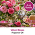Image of Velvet Roses Fragrance Oil (4 oz) sold at Master Maker Crafts. Wholesale prices and fast shipping.